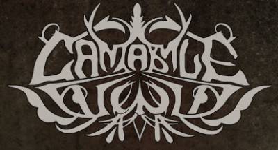 logo Cantabile Wind